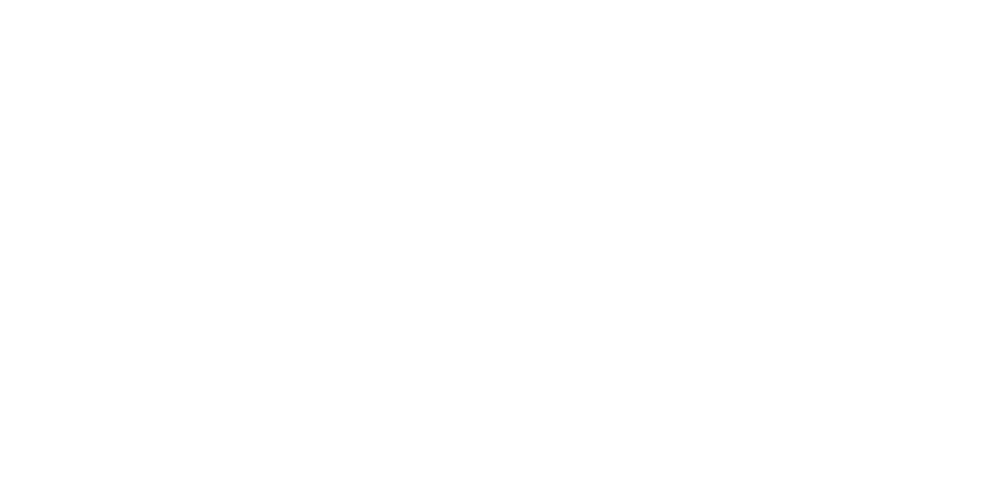IT Genie Logo White